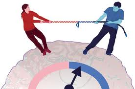 Man Vs Woman