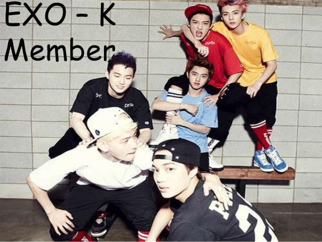 Exo-K  Testi
