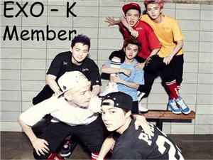 Exo-K  Testi