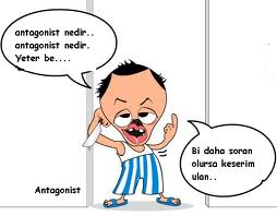 Akıllımı Salakmı
