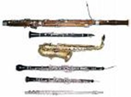 What Instrument Should U Play?