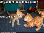 Lucky Or Unlucky