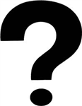 Le Quiz Du Jour