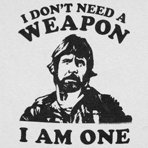 Will Chuck Norris End Your Life Today?
