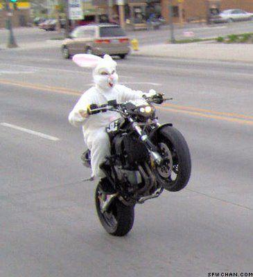 Cars Or Motorbikes
