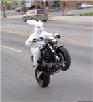 Cars Or Motorbikes