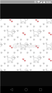 Hangi Köpek Cinsini Alcanı Biliy