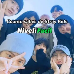 Cuánto Sabes De Stray Kids 