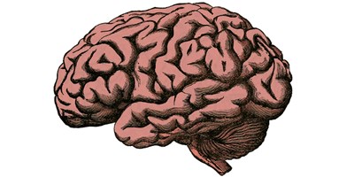 Test niveau cm2  6ème 