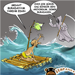 Şans