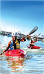 What's Your Favourite Pastime In Nmb / Pe