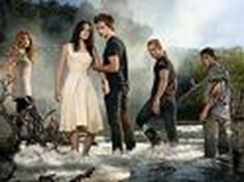 What Do You Think Of The Twilght Saga?