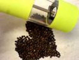 Salt, Or Pepper?