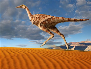 Test De Cuanto Conoces Un Dino