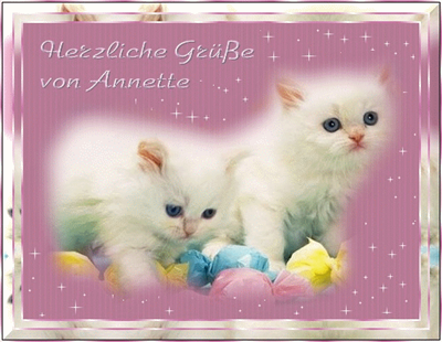 los gatos son lindos