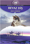 Hangi Kitap Seni Anlatıyor?