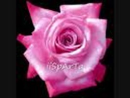Isparta Gülü Gönder  (Send A Rose) 