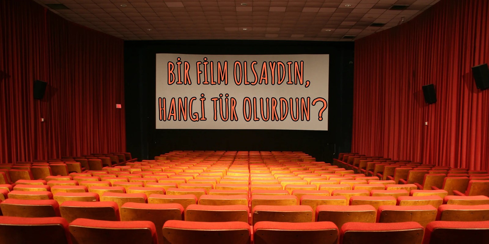 Hangi film türüsün