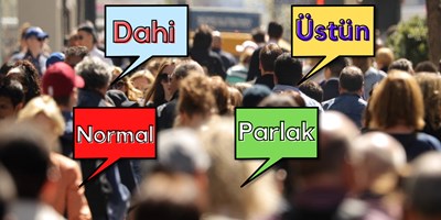 Ne Kadar Akıllısın