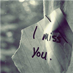 Did You Miss Him/Her