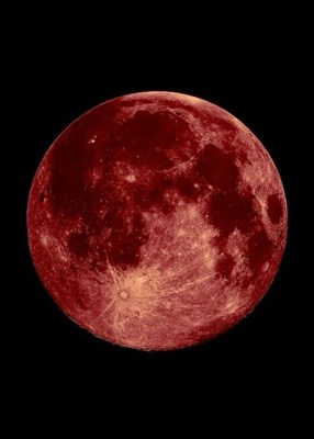 ¿Qué Moonblood podría cruzarse en tu camino? 