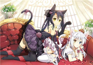 Es-Tu Un Fan De Neko ?