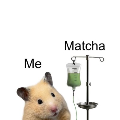 Seberapa anda menyukai matcha🍵? 