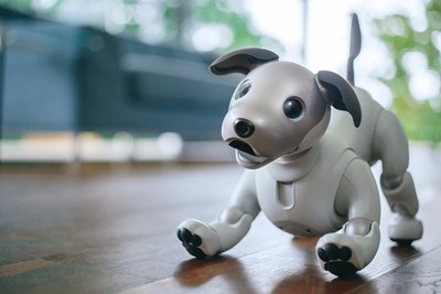What Futuristic Pet