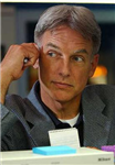 Which Ncis Character Are You?