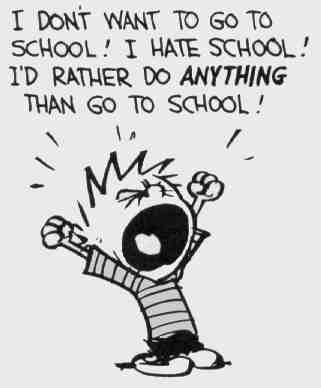 Is School Cool?