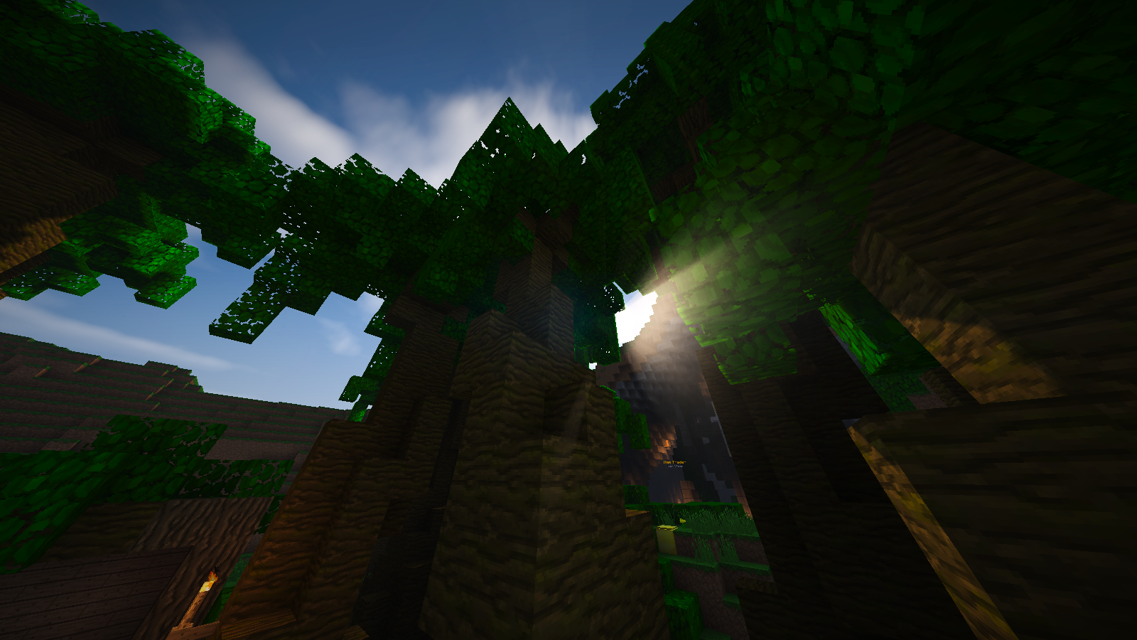 Build Test
