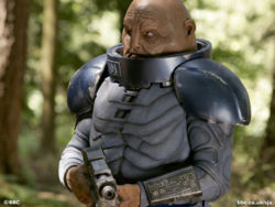 Survive The Sontarans