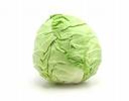 Are You A Cabbage Fan?