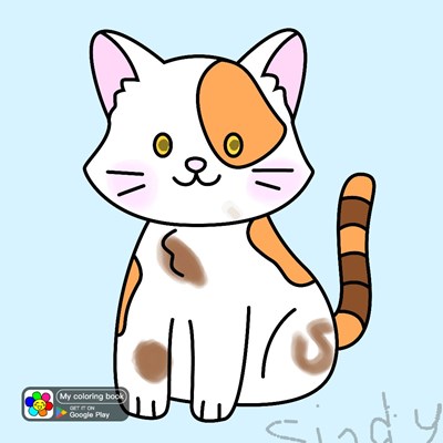 Hangi kedi türüsün? 