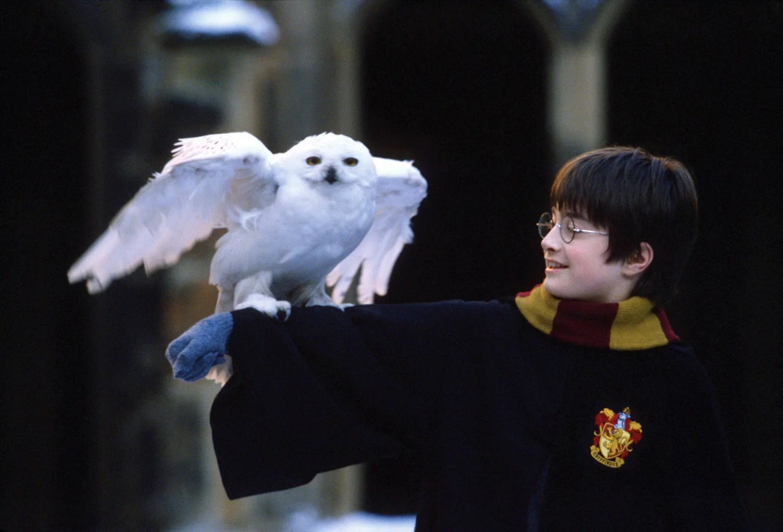 Jaká jsi postava z Harry Potter