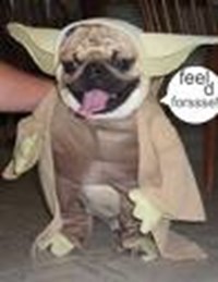 What Animal Are You?