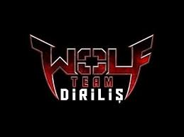 Ne Kadar Wolfteamcısın