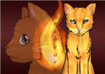 What Warriors Cat Are You?