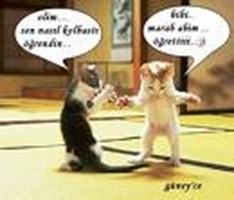 Kolbastı Merakı Ölçme