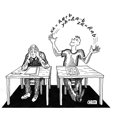 Wieviel % Kannst Du Mathe?