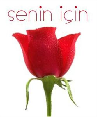 Hangi Çiçek Sana Göre