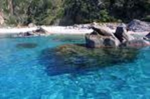 6 Un/A Tipo/A Che Piacciono Le Vacanze Estive.Perc