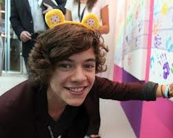 Directioner'lık Testi