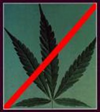 How Stoner Are You?