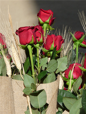 FOR YOU