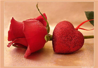 FOR YOU