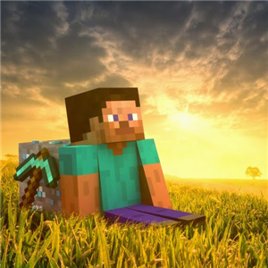 Minecraftta Nasıl Birisin