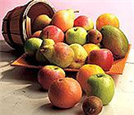 Fruity