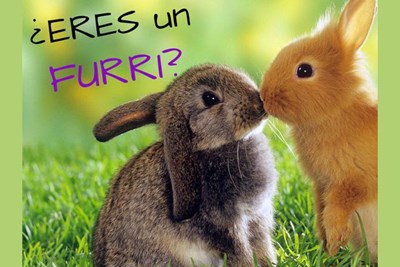 Que Tan Furro Eres