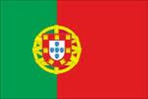Fifa World Cup Polls
